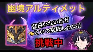 【原神】　幽鏡の激戦アルティメットチャレンジ！残りはヤモリだけ！
