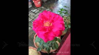 Download lagu Sentuhan 3 Dimensi full mp3 Download lagu Sentuhan 3 Dimensi full mp3