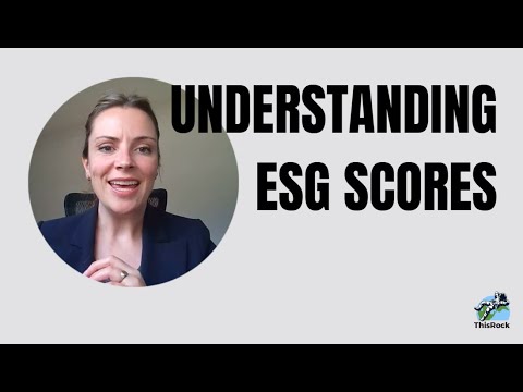 Understanding ESG Scores: What They Mean for Your Business