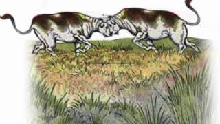 Aesop’s Fables The Bulls and the Frog