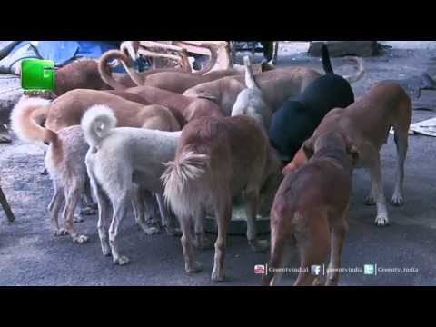 Anokhi: Pratima Devi (Short Episode) - 3 Min