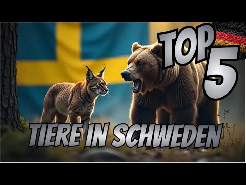 * TOP 5 * Tiere in Schweden * DOKU