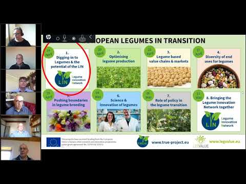 Digging in to legumes and the potential of the Legume Innovation Network