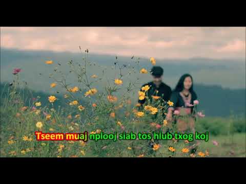 Tsis Txhob Tu Siab by Maiv Muas Kwm