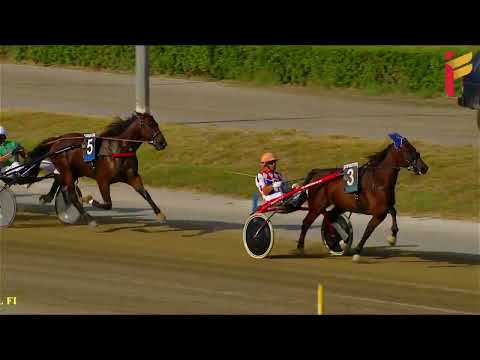 IV corsa del 25 settembre 2022 - 5 anni ed oltre reclamare - Metri 1600