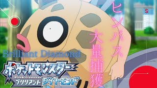【ポケモン生放送】!!ヒンバス乱獲祭りb!!【ダイパリメイク】