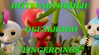 Самая Популярная интерактивная обезьянка FingerLings (Фингерлингс), которая уже покорила сердца миллионов!
Если с ней поиграть, то игрушка обязательно отреагирует мимикой, жестами или звуками. 
Она очень ловко обхватывает различные