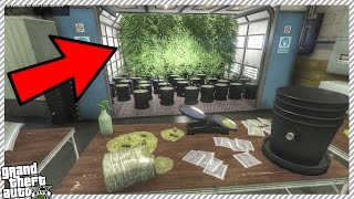 gta 5 online is there a difference in weed farms gta 5 online is there a difference in weed farms