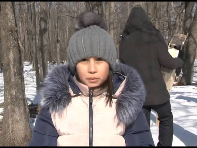 «Новое жилье» для пернатых