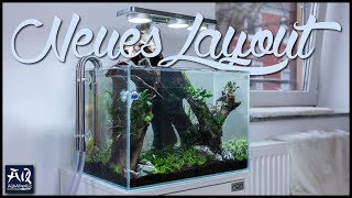 40cm Aquarium gestalten | AquaOwner