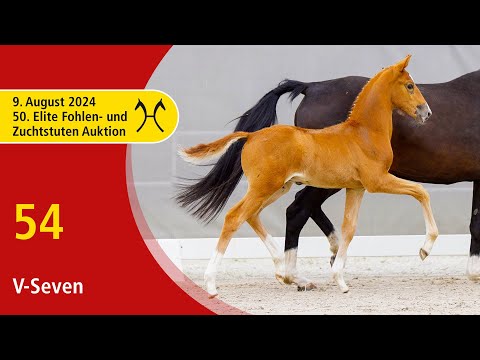 50th Elite Foal and Broodmare-Auction - Aug. 9th - No. 54 V-Seven by Vitalis - Sandro Hit