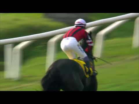 03/06/2023 – Hipodromo Maroñas – Carr 3 – SUPERIOR AVE (2022)