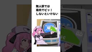 ［必見］初見殺し鳥取県米子空港　#vtuber