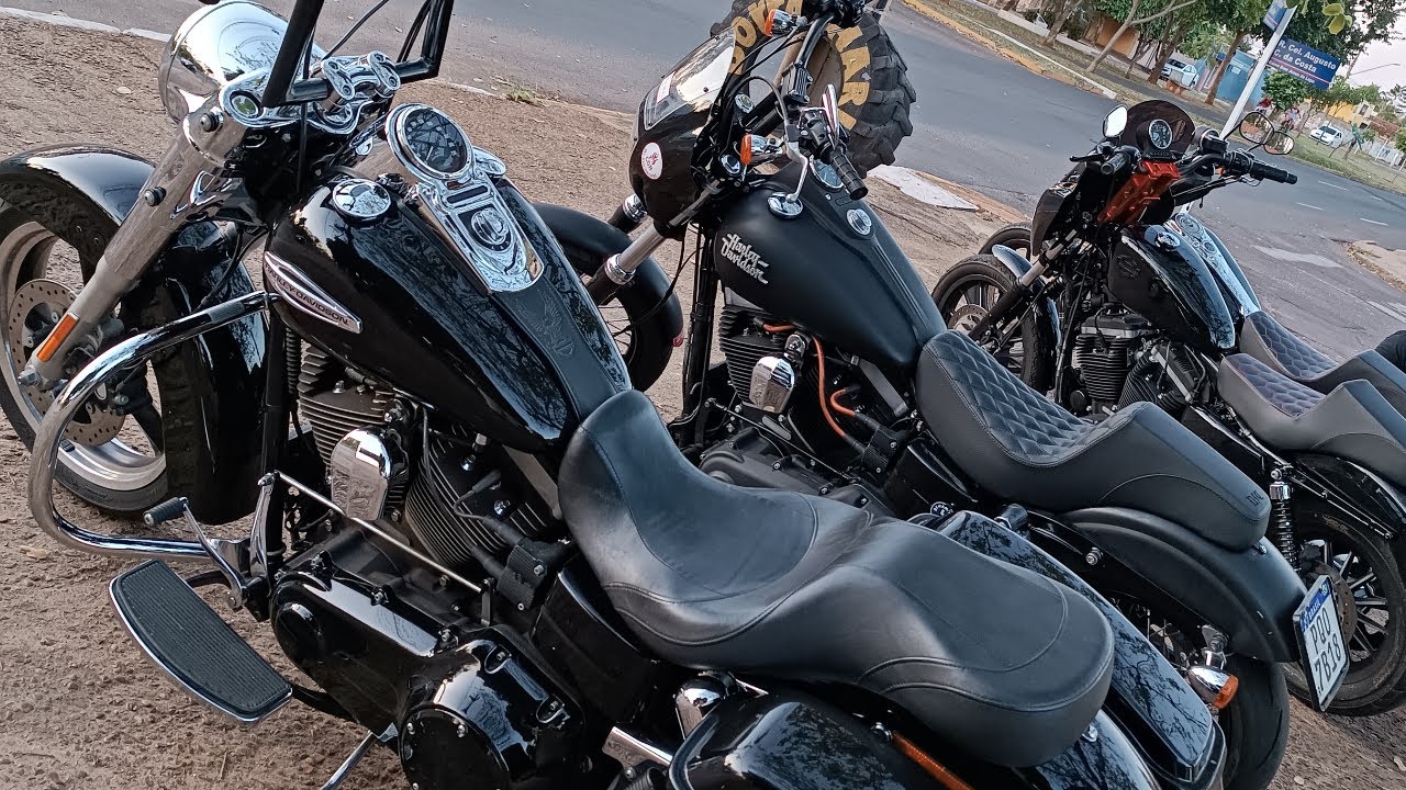 Dyna Oque Observar Na Hora Da Compra