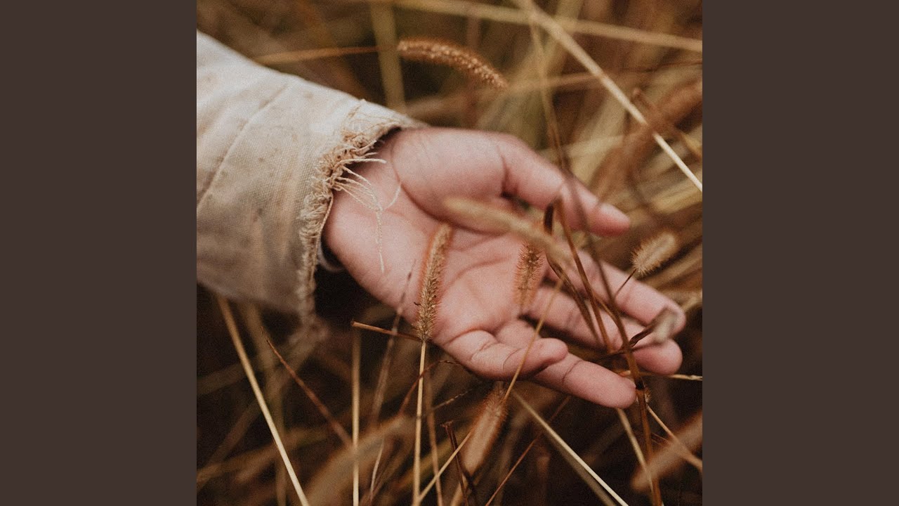 Compassion (feat. Piano Felt Project)