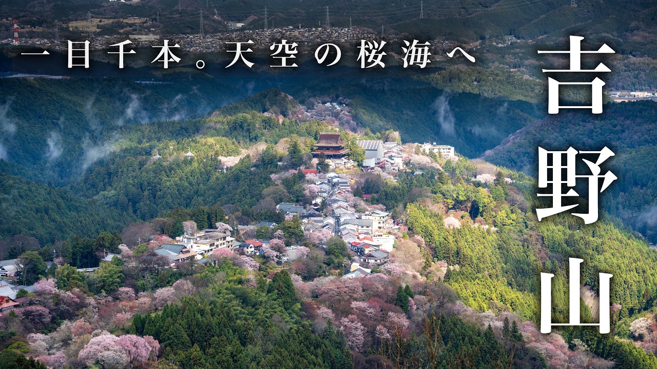 【2026最新】吉野山 桜ハイキング完全ガイド｜下千本から高城山を歩く