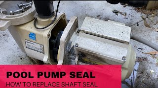 Replace Leaking Shaft Seal on Pentair Pool Pump