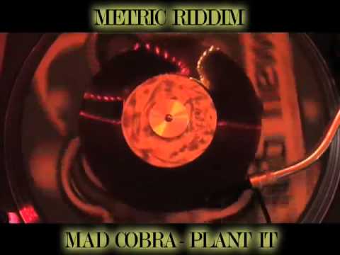 (Metric Riddim) Mad Cobra - Plant It