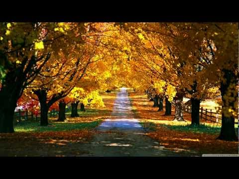 Adam Nickey pres. Blue  Eleventh Street (Suncatcher Remix)