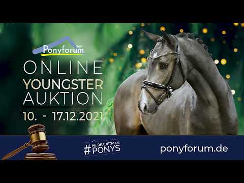 DA LEO 3j. Wallach v. D-Power AT / Dimension AT NRW