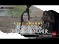 PENGEN DIJENGKING Voc CERY AMANDA I LIVE MUSIC DEDE RISTY GANJENE PANTURA I