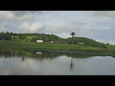 Mostrando uma lagoa no povoado chamado lamarao Bahia. 