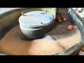 Riproduci video