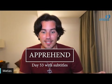 Day 53  APPREHEND - Matias De Stefano - with subtitles