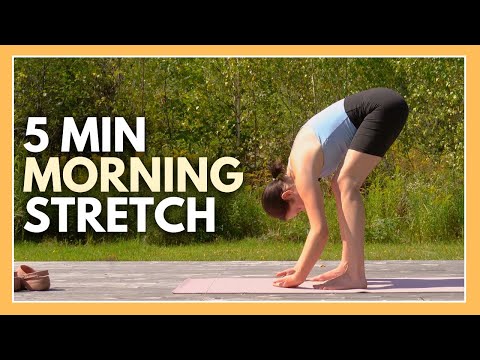 5 Minute Morning Yoga - Daily Stretching Routine