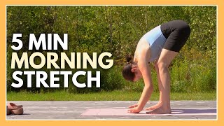 5 Minute Morning Yoga - Daily Stretching Routine