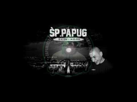 16. Nizioł, Żabol, Siupacz, Fifi, Arczi- Ku pamięci (śp Papug) prod. Tytuz