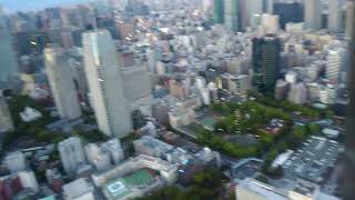 東京タワー最上階250メートルまで登りました！！