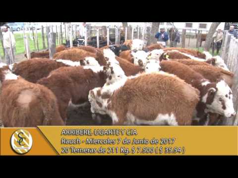 07-06-17 Venta de Hembras - Arribere, Ugarte y Cia - Rauch.