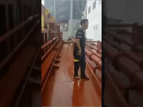 Sập cầu cảng Interflour ở Cái Mép do tàu container WAN HAI va chạm tàu ​​​​VASSOS 2