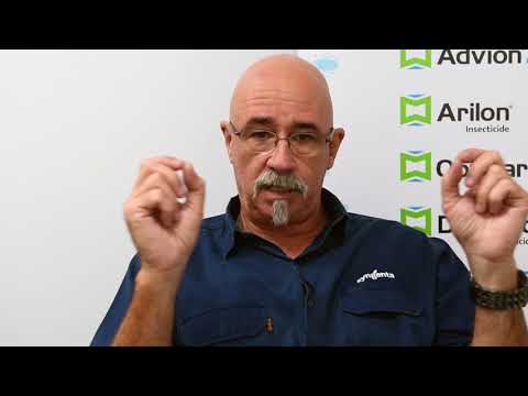 Pest Talk: Technical Tips - Why ant species identification is important