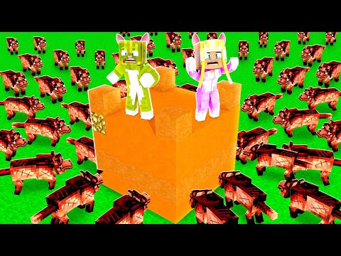 100 HUNDE vs. KATZEN BASE ✿ Minecraft [Deutsch/HD]