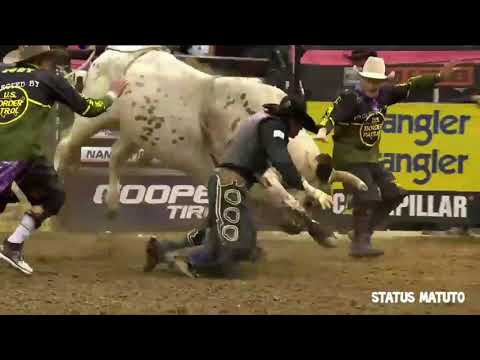 Status de rodeio 🍀‼