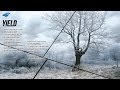 Kowai - Yield 
