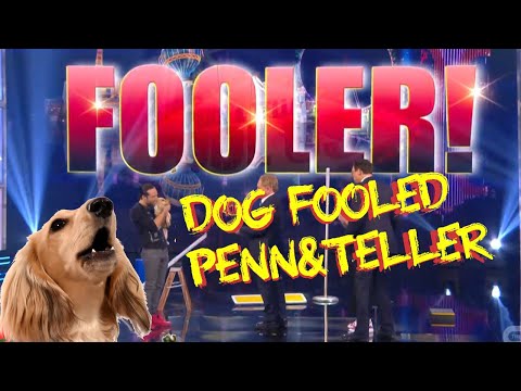 DOG FOOLS PENN & TELLER! Alex Ramon and MJ on Penn & Teller Fool-Us// Season 8
