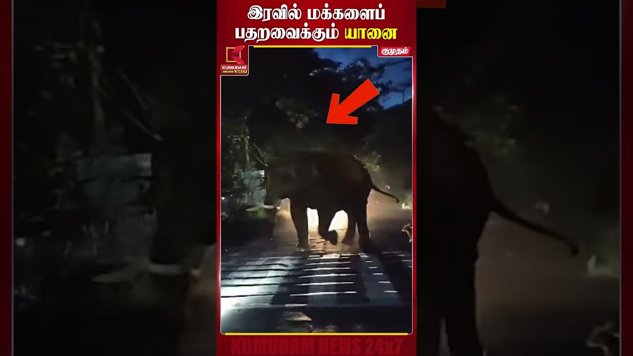 இரவில் மக்களைப் பதறவைக்கும் யானை..! கோபிசெட்டிபாளையம் பகுதியில் அச்சம் | Coimbatore | Kumudam News