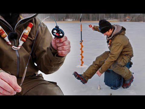 Lidt om pimpelfiskeri efter aborrer på isen