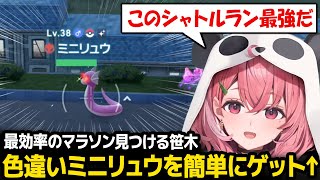 【ポケモンZ-A】色違いミニリュウをゲットする最効率の方法を見つける笹木【笹木咲 にじさんじ】