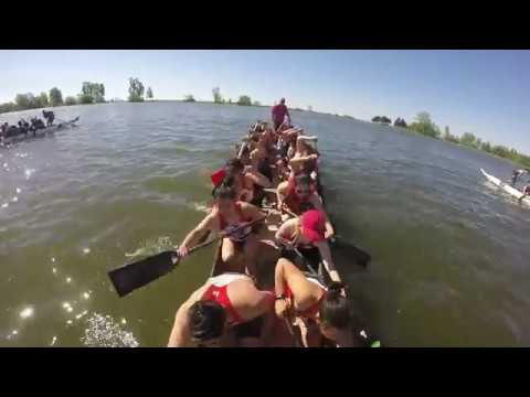 York University Dragon Boat Club - Pickering 2017 University 500m Preliminary