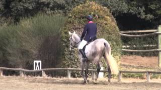 preview picture of video '2015 - VICOMTE D'HULM - DRESSAGE 6 ANS VEDENE 20 02 15'