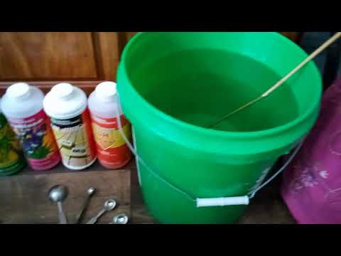 Synthetic Nutrients   How To   General Hydroponics Flora Trio
