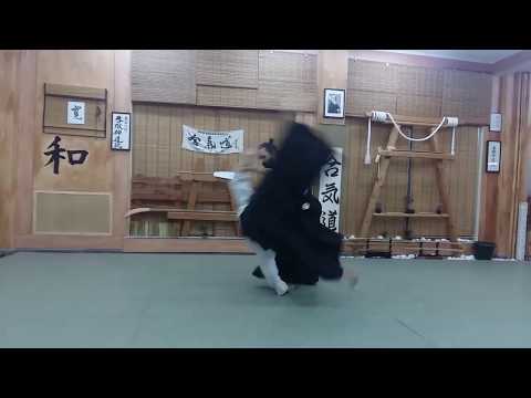 Aikido  Dynamic and  Beautiful
