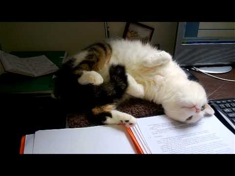 Neuvěřené povídky