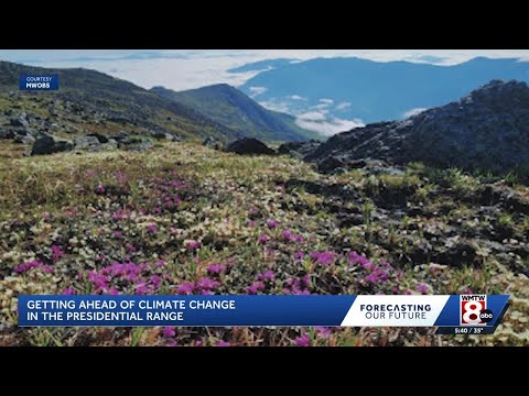 Warming winters are shrinking crucial alpine growing season in ...