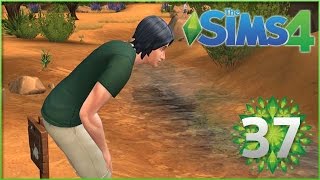 Sims 4: Cow Berry Blues - Episode #37