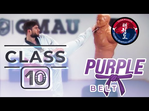 Taekwondo – Purple Belt – Class 10